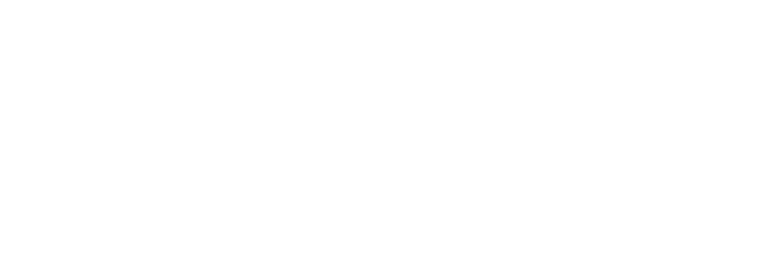 Vizu